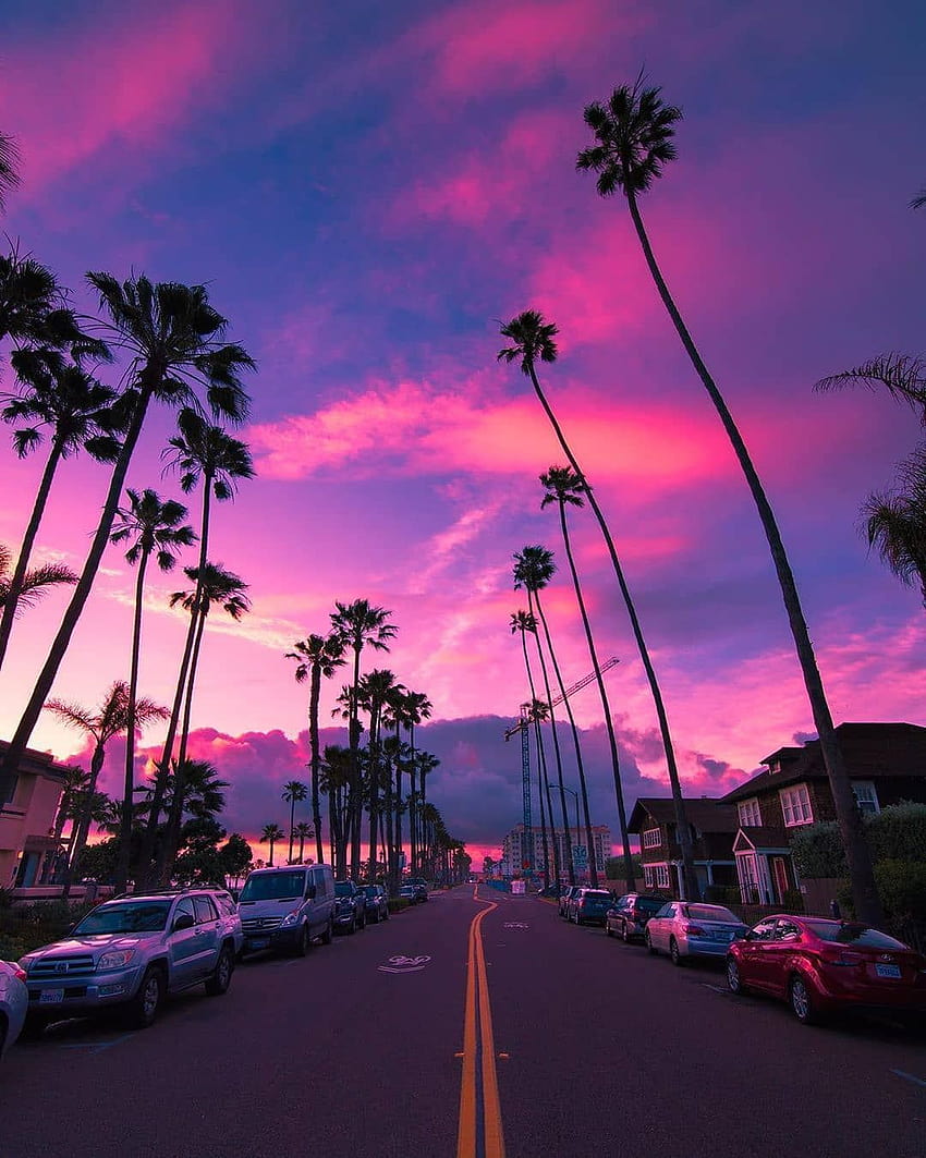 Miami Pink, miami sunset HD phone wallpaper