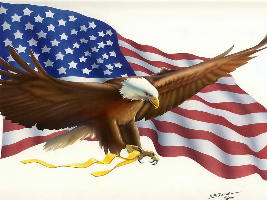American Flag Bald Eagle Symbols For Mobile Phones And Laptops : 13, united states symbols HD wallpaper