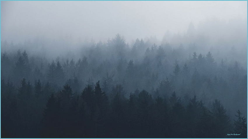 Foggy Backgrounds, aesthetic foggy forest HD wallpaper