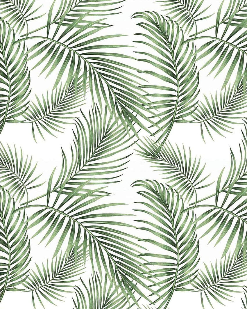 Buy Tropical Palm Rainforest Leaves Wall Paper Jungle Self Adhesive Peel and Stick Green Removable Vinyl Jungle 17.7”×78.7 Online in Turkey. B07XCLRNLY, jungle theme HD phone wallpaper