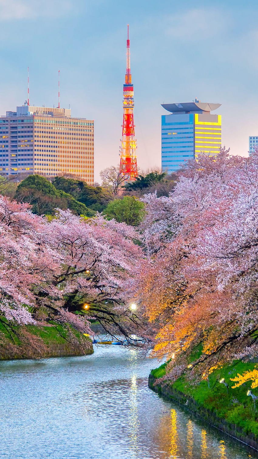 Amazing place in Tokyo for your iPhone X from Everpix, breathtaking spot HD phone wallpaper
