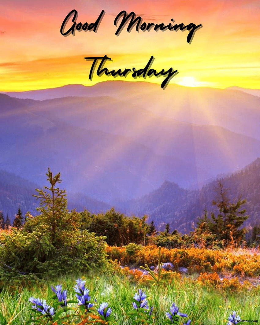 TOP 50 Good Morning Thursday Wishes Quotes – Best IG Captions HD ...