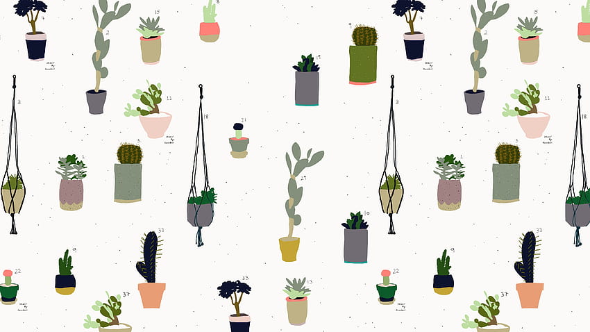 Cactus Tumblr, cute aesthetic cactus HD wallpaper