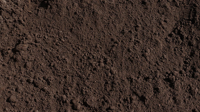 Soil dirt HD 월페이퍼