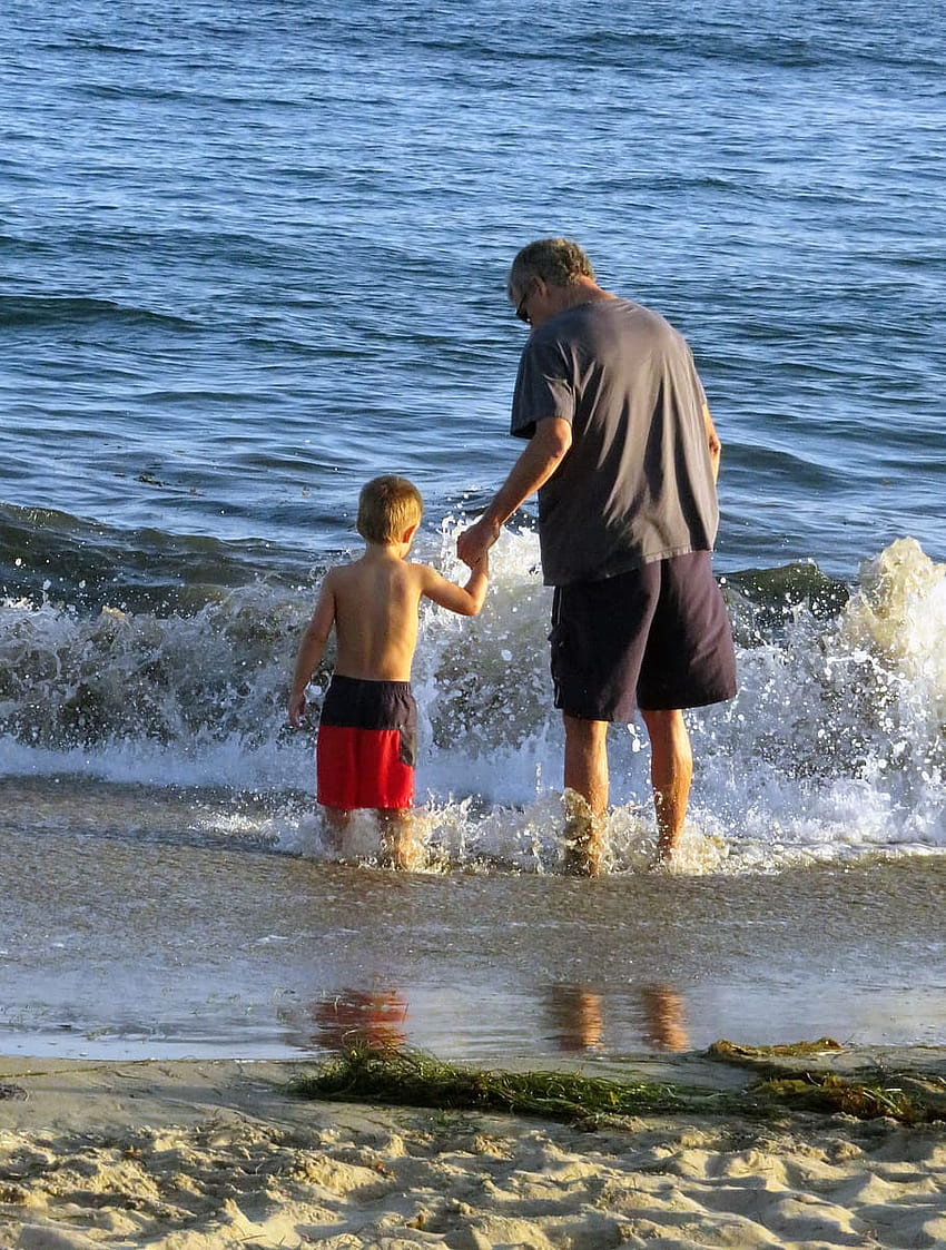 : man and toddler on seashore, grandpa, beach, grandfather HD phone wallpaper