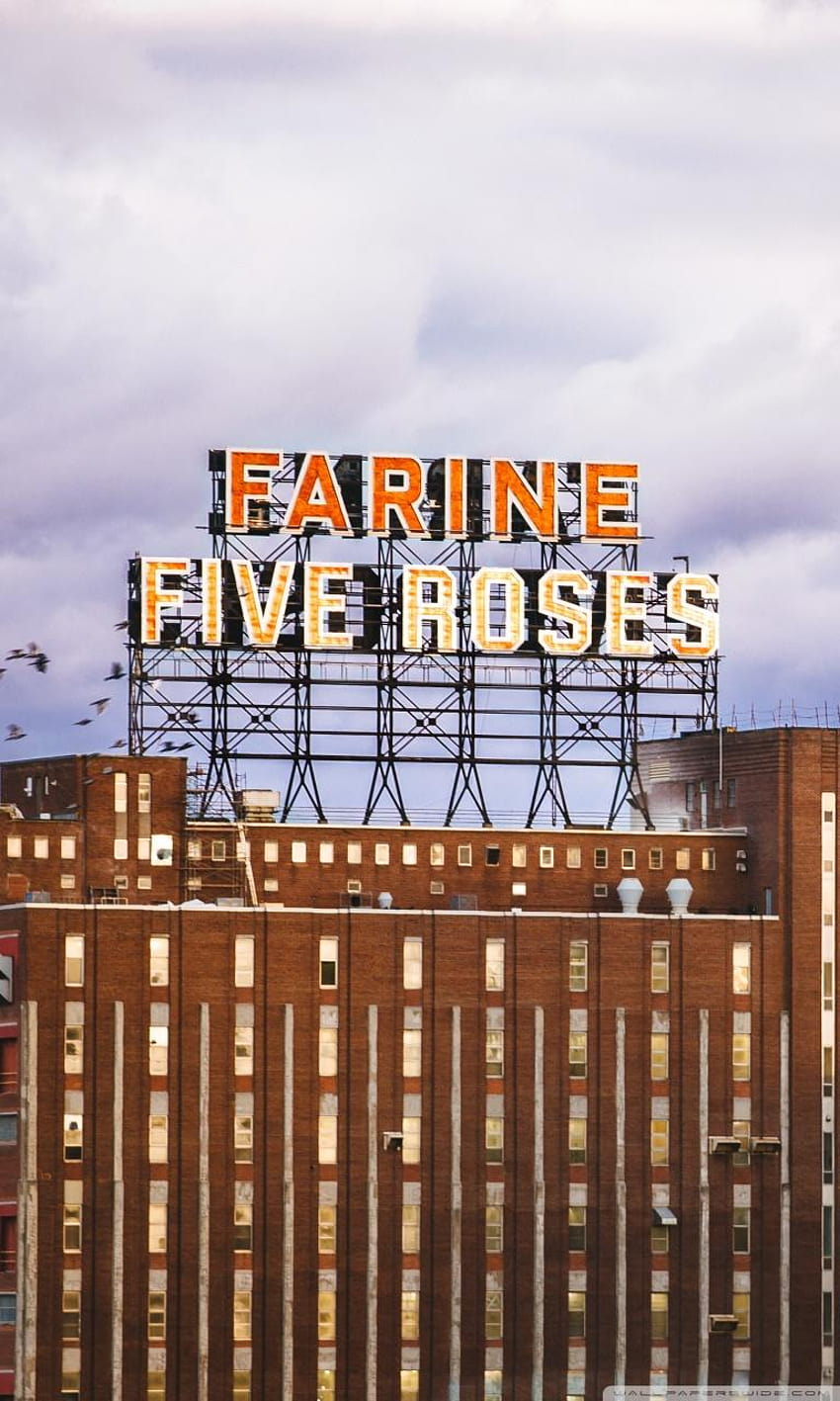 Farine Five Roses, Montreal Ultra Backgrounds, montreal iphone HD phone wallpaper