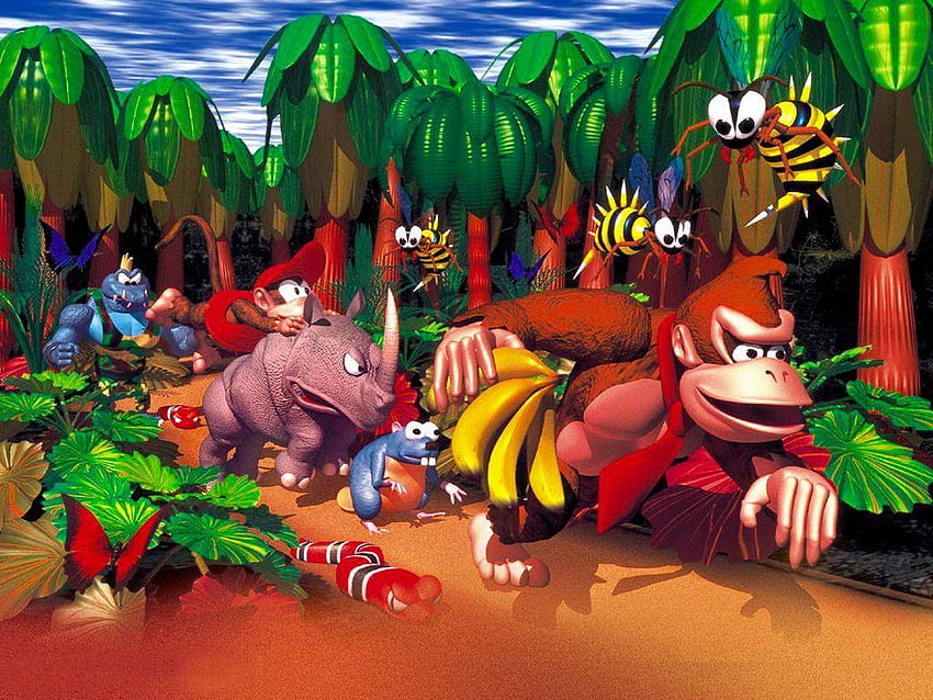 SNES için Donkey Kong Country harika bir kutu sanatına sahipti ve oyun, donkey kong country 3 dixie kongs çifte sorun HD duvar kağıdı