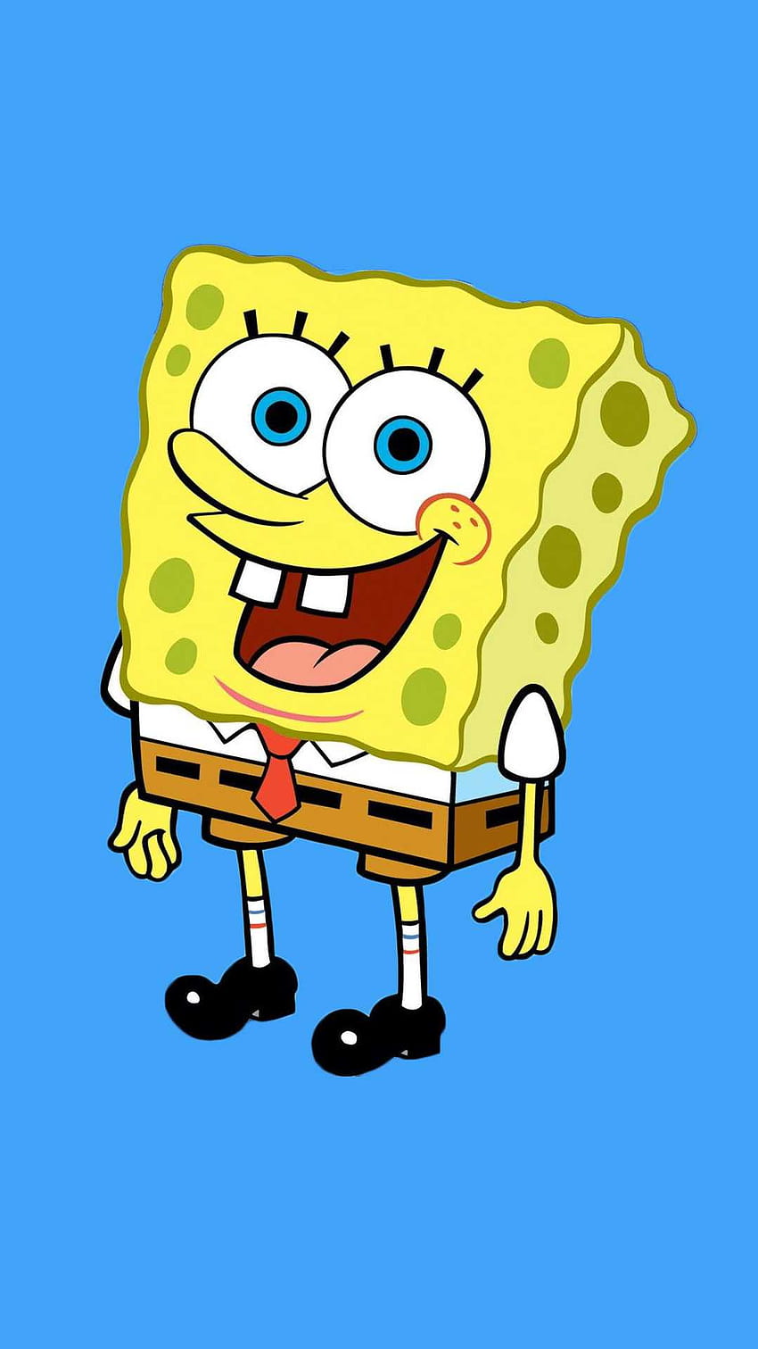 Spongebob and Patrick hình nền  SpongeBob SquarePants hình nền 40584614   fanpop