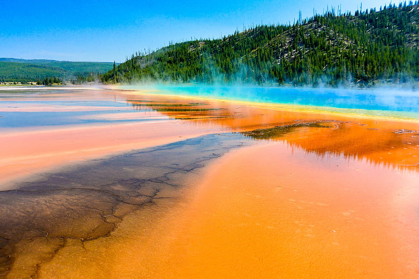 hot, Spring, Sky, Trees, Yellowstone, National, Park, Grand, prismatic HD wallpaper