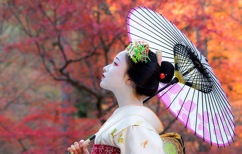 jesień, dziewczyna, Japonia, parasol, gejsza, dziewczyna, kimono, Azjata, Japonia, kobieta, parasol, Azja, język japoński, kimono, wspomnienia gejszy, geiko , sekcja девушки, maiko Tapeta HD
