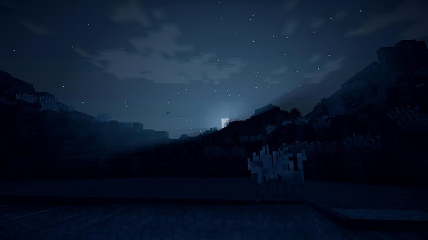 La notte di Minecraft Sfondo HD