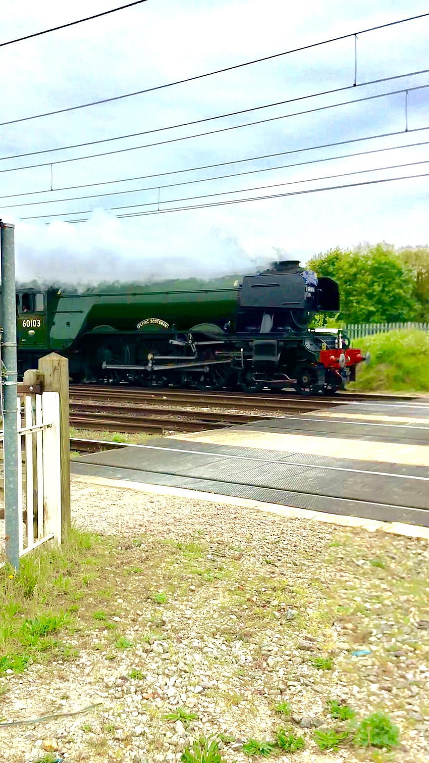 Harus melihat Flying Scotsman saat berpatroli hari ini! : kereta api wallpaper ponsel HD