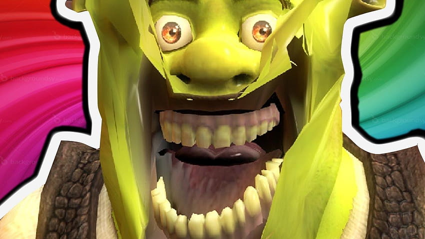 Shrek Meme Funny Wallpaper 74150 1920x1080px