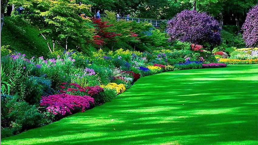 Nice Garden , of a beautiful garden HD wallpaper