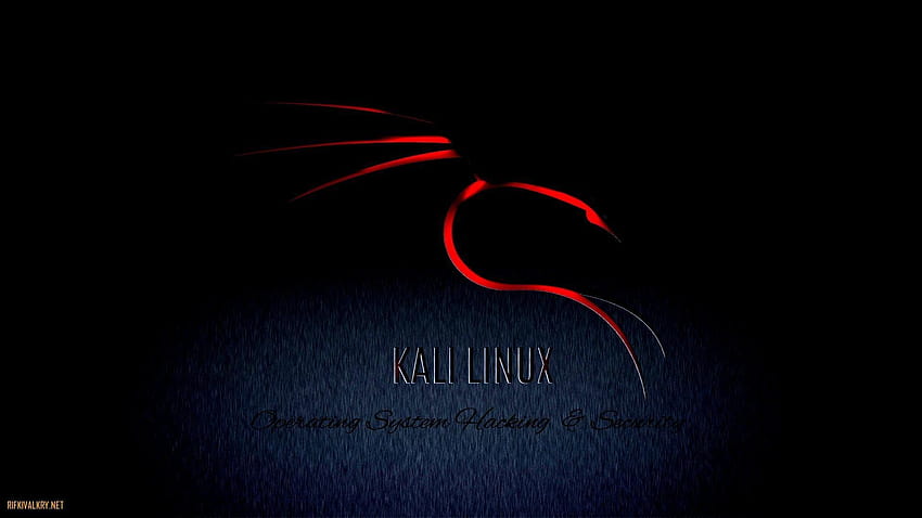  Kali linux fondo de pantalla