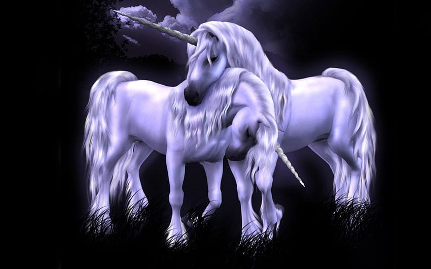 Unicorn Love, unicorn rider HD wallpaper