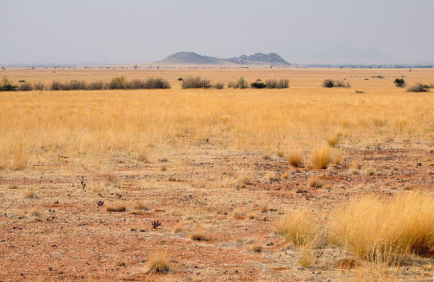 áfrica áfrica do sul namíbia paisagem deserto savana papel de parede HD