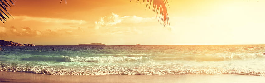 Beautiful sunset, palm tree leaves, beach, sea, tropical, tropical beach panorama HD wallpaper