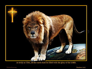 Weep no more; behold, the Lion of the tribe of Judah, the Root of David ...