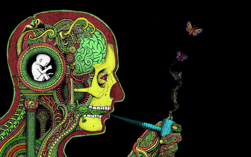 640x1136px  free download  HD wallpaper 420 drugs marijuana  psychedelic weed  Wallpaper Flare
