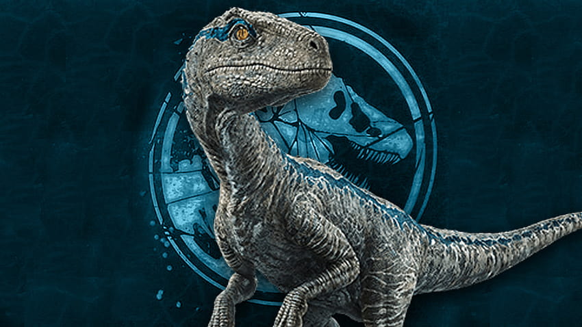 Jurassic World Blue publicado por Zoey Mercado, raptor blue fondo de pantalla