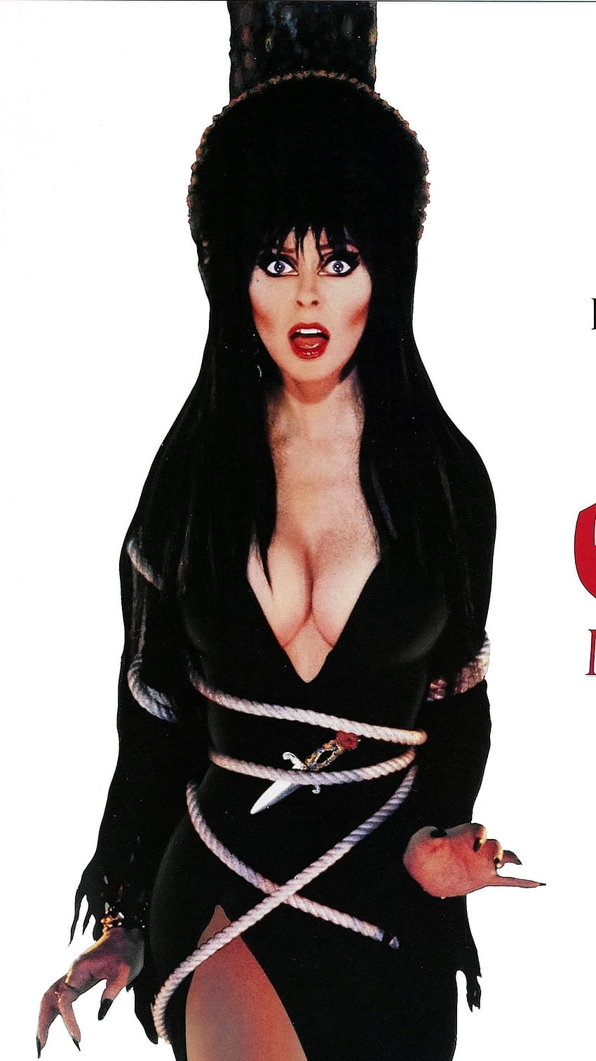 ベスト 5 Elvira Backgrounds on Hip, elvira phone HD電話の壁紙