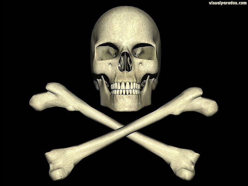 skulls+and+crossbones+ HD wallpaper