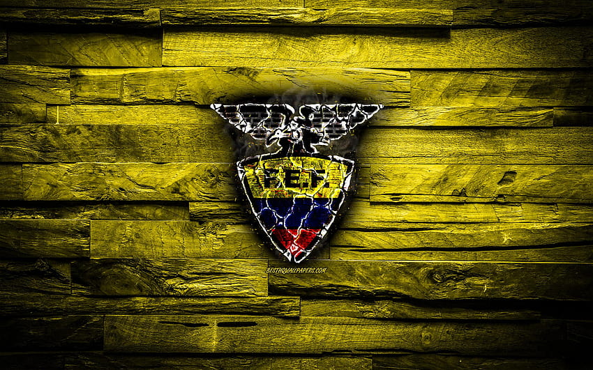 Ecuador, burning logo, Conmebol, yellow, america soccer team HD wallpaper