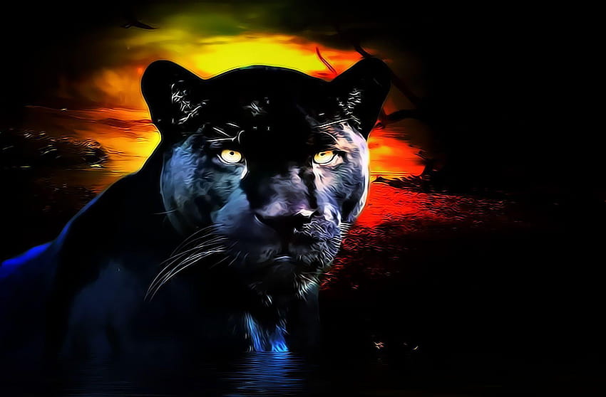 Kool Black Panther, schwarzer Panter HD-Hintergrundbild