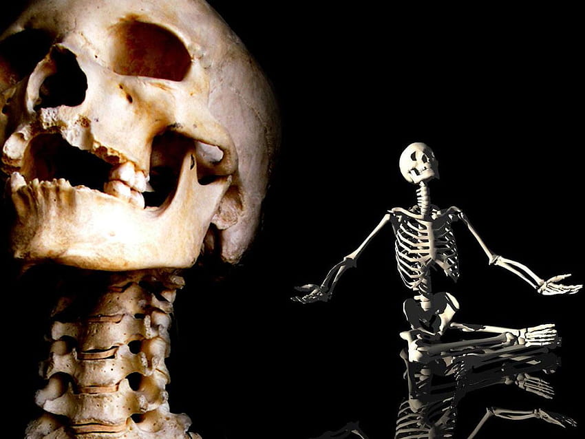 7 Skeleton, skeletal HD wallpaper