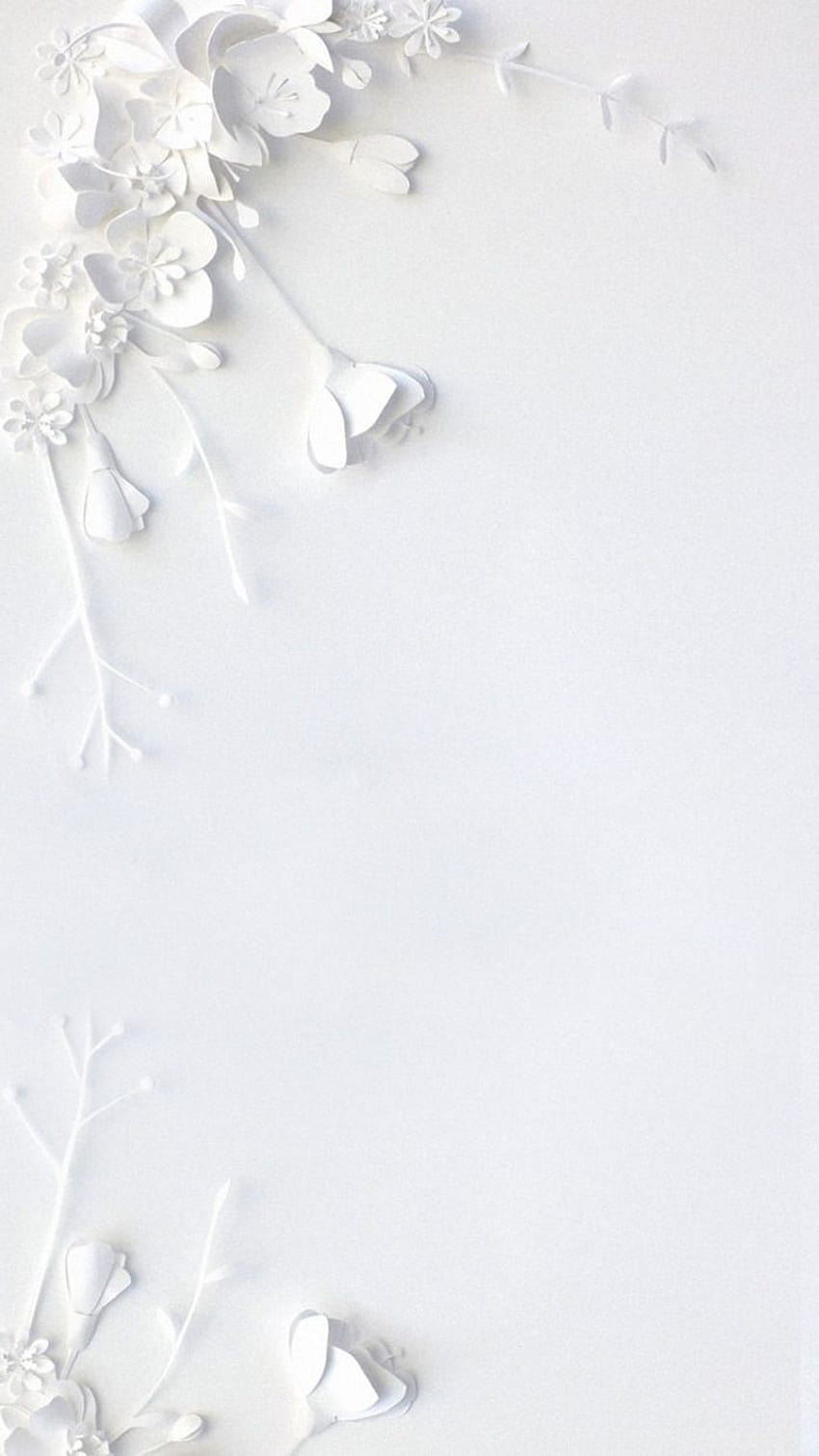 Wybierz kwiatowe tła, aby udekorować swój ekran, minimalistycznym białym kwiatem Tapeta na telefon HD