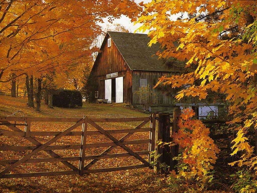 Country Fall, farm autumn HD wallpaper | Pxfuel