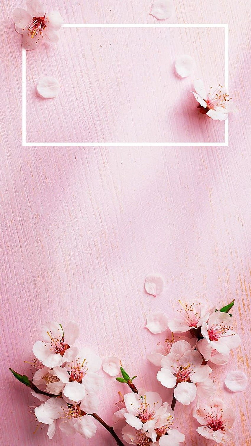 iPhone X Rose Gold Lock Screen, iphone bunga musim semi 3d estetika wallpaper ponsel HD