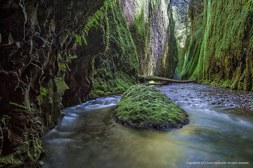 Oneonta Gorge Tips, Oregon, elowah falls oregon columbia river gorge Fond d'écran HD