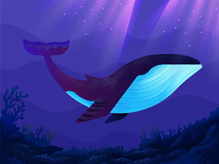 美的クジラ 高画質の壁紙