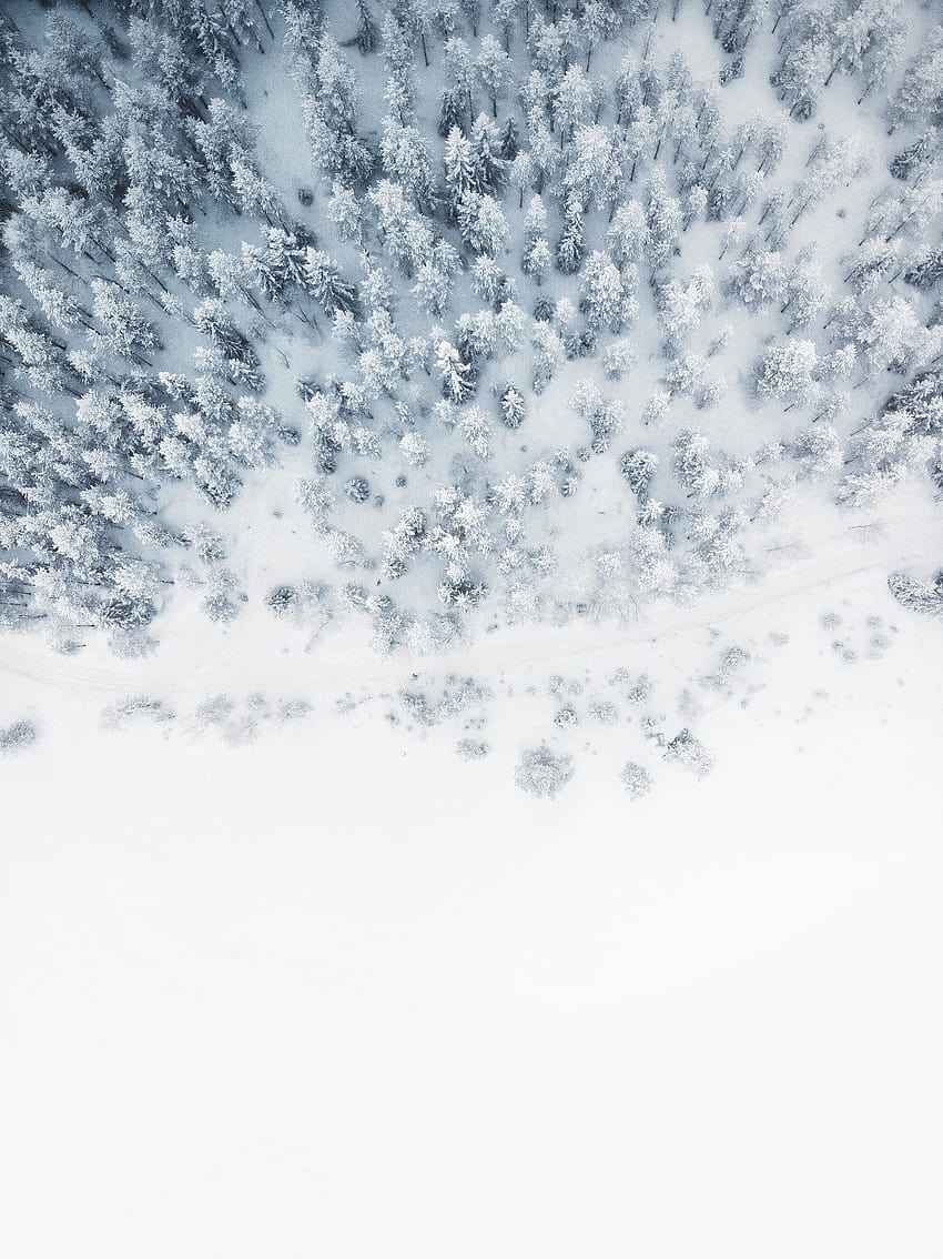 1 Beautiful of Winter, winter slush HD phone wallpaper