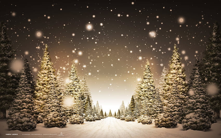 Christmas Tree Winter Backgrounds of Christmas [1600x1000] untuk , Ponsel & Tablet, softie natal Anda Wallpaper HD