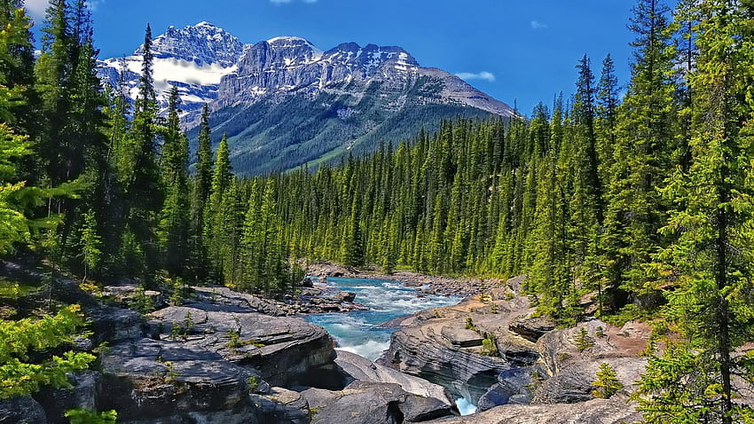 National Park Banff Alberta Canada River Bow Lak Valley Rocky Mountains Snow Stone Pine Forest Landscape For 2560x1440 : 13, canada 2560x1440 HD wallpaper