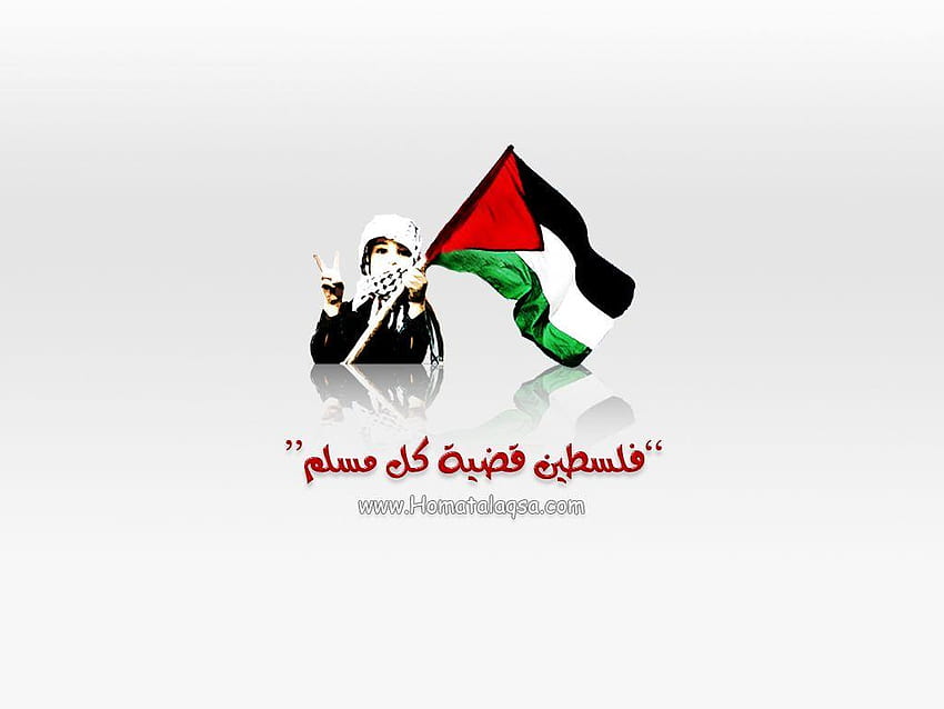 Bandeira da Palestina, bendera palestina papel de parede HD
