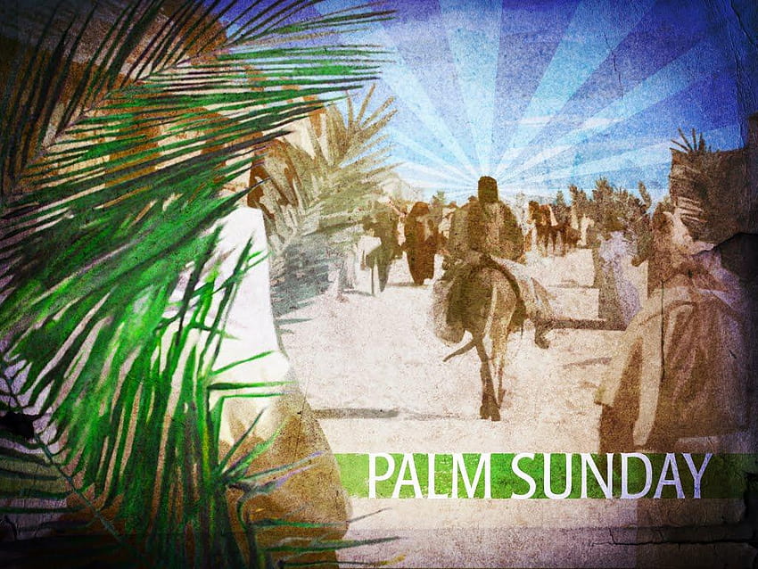 Adorable Palm Sunday , Palm Sunday Backgrounds HD wallpaper | Pxfuel