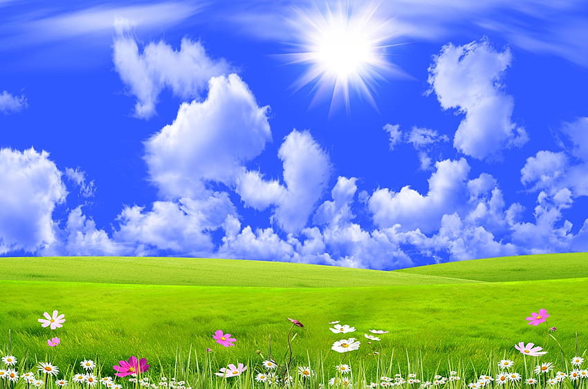 Natura Niebo Łąki Trawa Chmury, łąki anime Tapeta HD