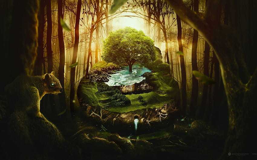Fond d'écran forêt, Forêt fantastique, Papier peint jungle, green fantasy Fond d'écran HD
