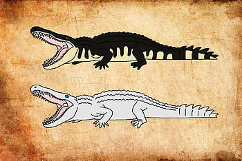 Deinosuchus HD Wallpapers | Pxfuel