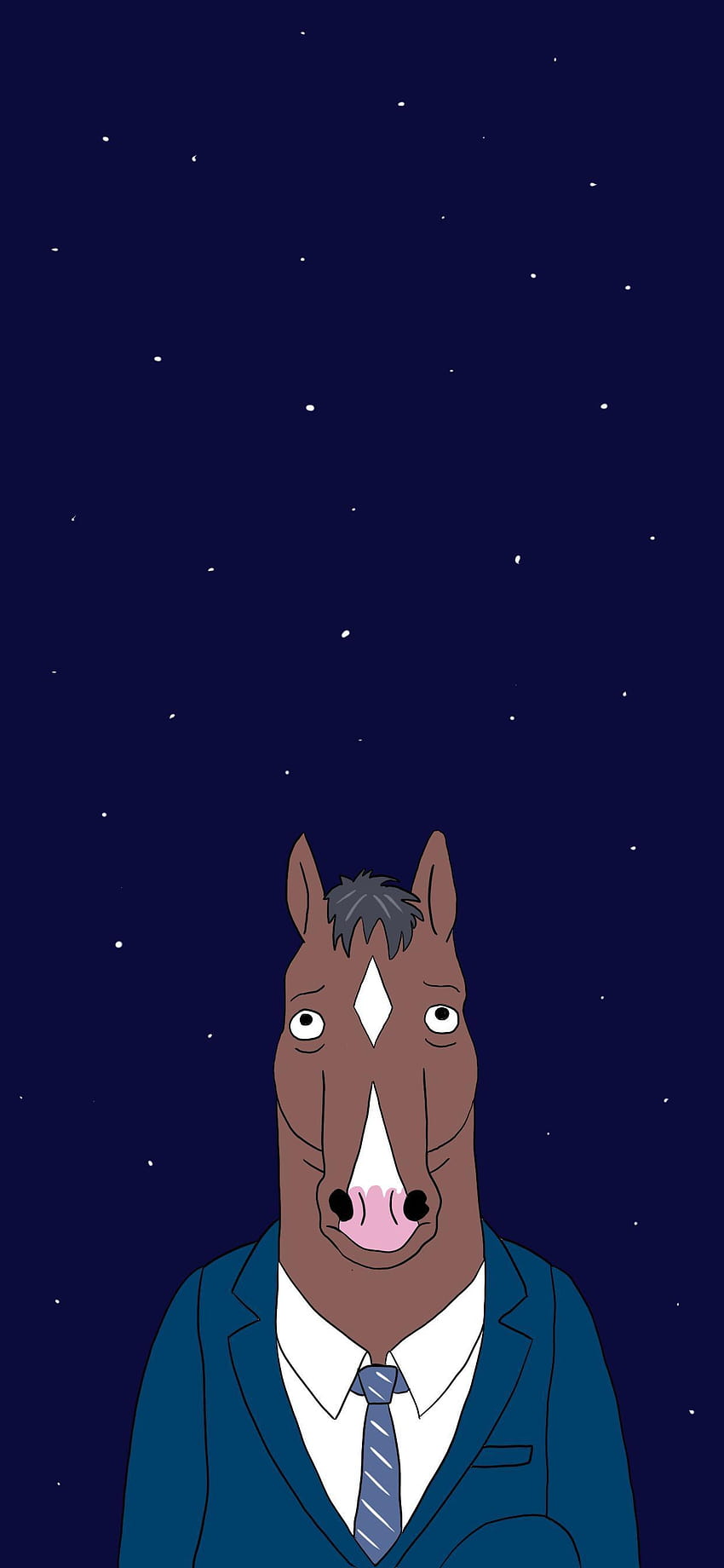 I made a hi res for the last ever episode. Couldn't find any online. It's the dimensions of an iPhone 11 Pro Max. Let me know if you want more of, bojack horseman iphone HD phone wallpaper