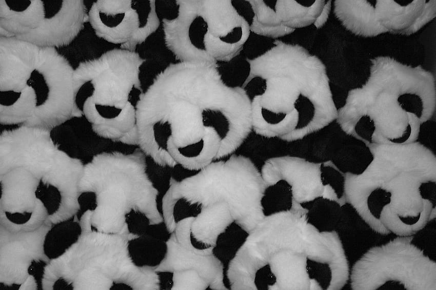 Pandas de pelúcia! • meh.ro, boneca panda papel de parede HD