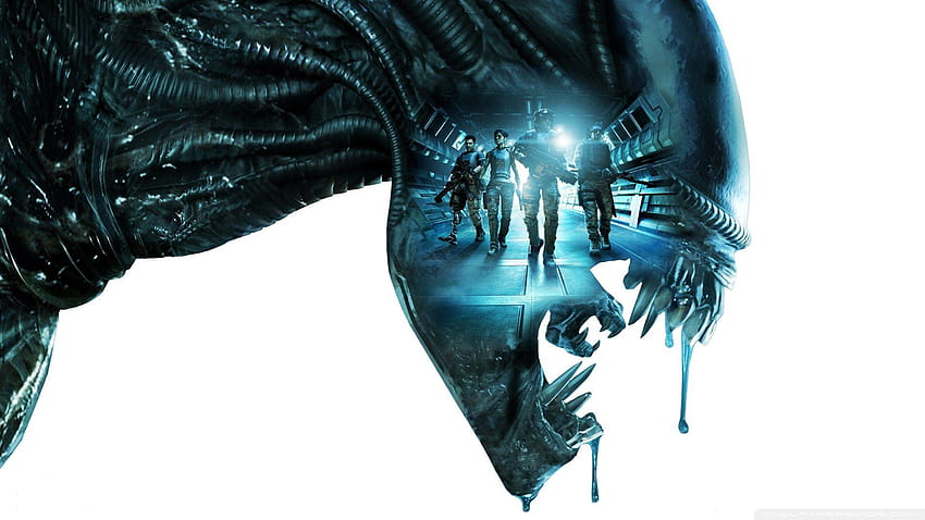 Aliens Colonial Marines ❤ for Ultra, colonial war HD wallpaper