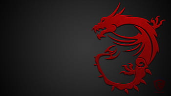 MSI Dragon Edition on Dog, led dragon HD wallpaper | Pxfuel