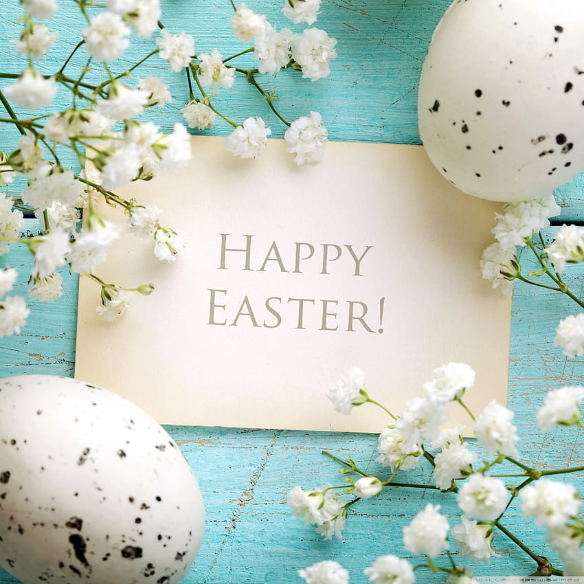 Easter 2014 Sunday [2048x2048] for your , Mobile & Tablet, easter 2048x2048 HD phone wallpaper