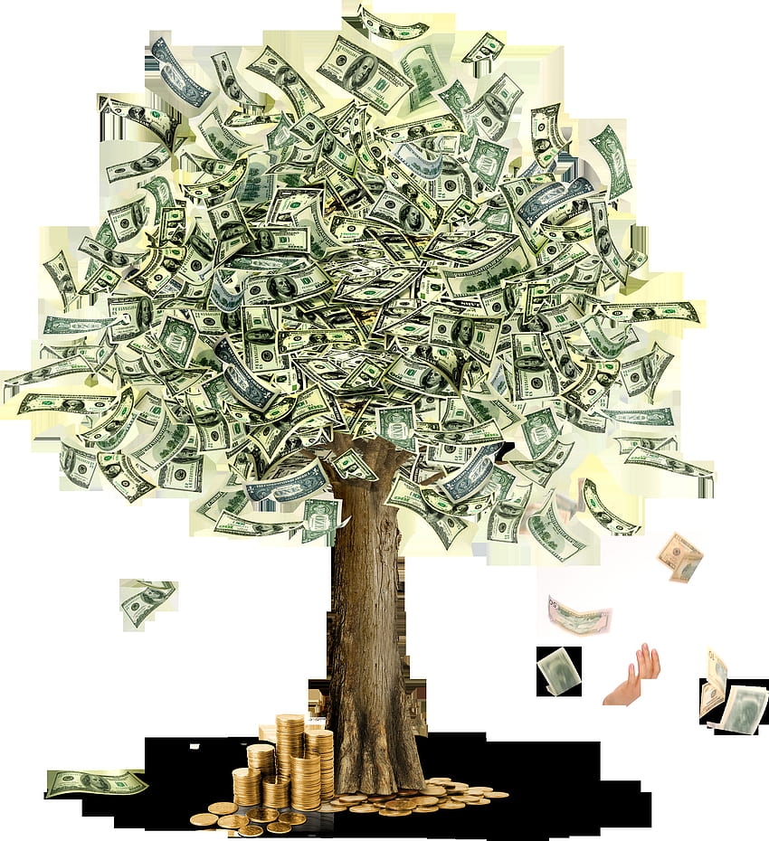 Uang PNG, uang, pohon uang wallpaper ponsel HD