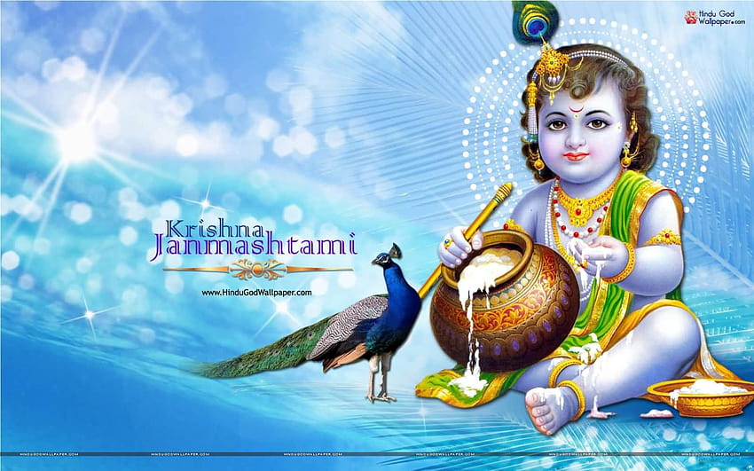 Krishna Janmashtami Wishes With Beautiful Bal Krishna, happy krishna janmashtami HD тапет